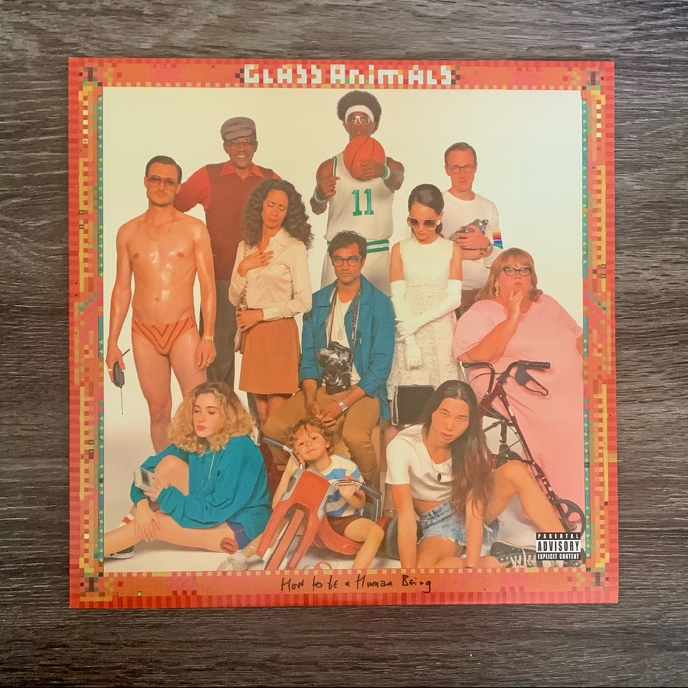 Glass Animals Vinyl Record